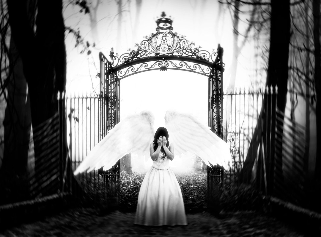 Scookiegeek New Gaming Hacks From Simcookie