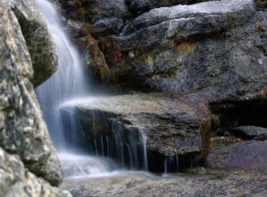 the iron claw torrent